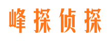 蒙山市场调查